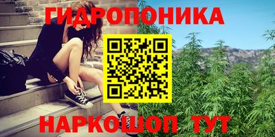ALPHA-PVP Гусев