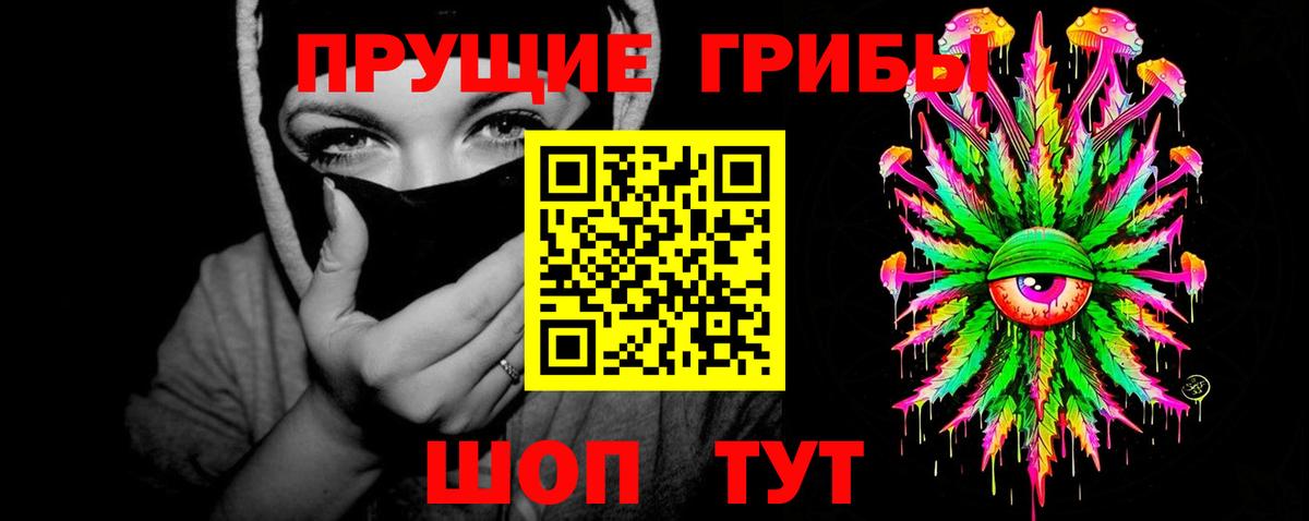 Галлюциногенные грибы Psilocybe Новоуральск
